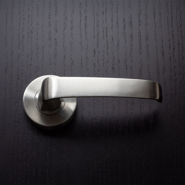 L4- Noosa Brushed Stainless Steel Lever – Handle House